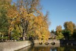 Herbst_2011_3_DSC05919.JPG