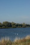 Herbst_2011_6_DSC05920.JPG