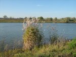 Herbst_2011_7_IMG_3765.JPG