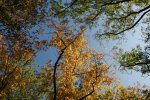 Herbst_2011_12_DSC05936.JPG