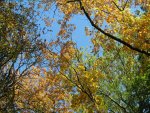 Herbst_2011_13_IMG_3775.JPG