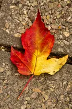 27.10.11 (130 von 169).webp