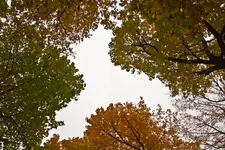 27.10.11 (5 von 169).webp