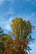 28.10.11 (89 von 90).webp