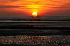 DSC_0070.webp