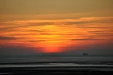 DSC_0080.webp