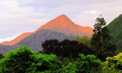 tn_Copy of IMG_7362 v.webp