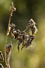 28.10.11 (64 von 90).webp