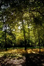 22.10.11 (14 von 123).webp