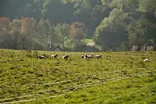 23.10.11 (38 von 104).webp