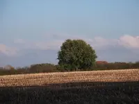 DSCF1373.webp
