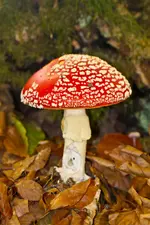 29.10.11 (89 von 140).webp