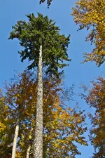 29.10.11 (37 von 140).webp