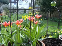 IMGP2455.webp