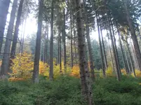 PA280112.webp