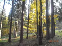 PA280117.webp