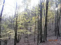 PA280125.webp