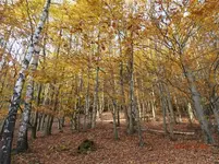 PA280128.webp