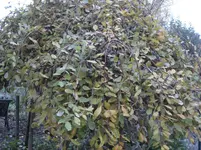 IMG_7293.webp