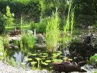 Teich 2011-1.webp