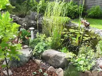 Teich 2011-2.webp