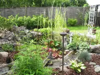 Teich 2011-3.webp