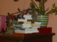 carlo und livia01.webp