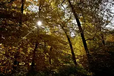 31.10.11 (1 von 1).webp
