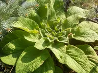 DSCN1061.webp