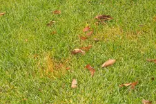 100_1916.webp