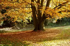 31.10.11 (376 von 413).webp