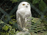 IMG_3700.webp