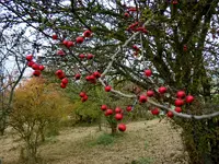 037.webp