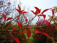 048.webp