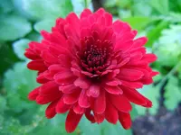 027.webp