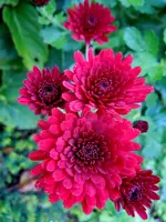 026.webp