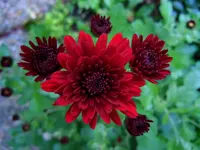 028.webp