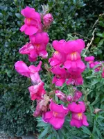 011.webp