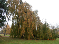 PB010012.webp