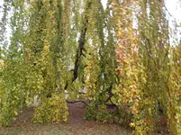 PB010013.webp
