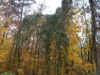 PB010009.webp