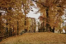 2.11.11 (110 von 113)_HDR.webp