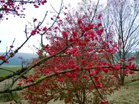 042.webp