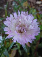 019.webp