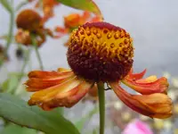 020.webp