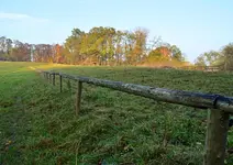 DSC_4373 Weidezaun.webp