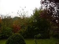 P1030414.webp