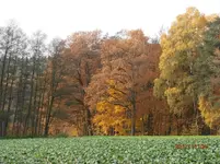 PB040088.webp