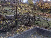 DSC0000033.webp