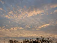 2011 -11- Garten 567.webp